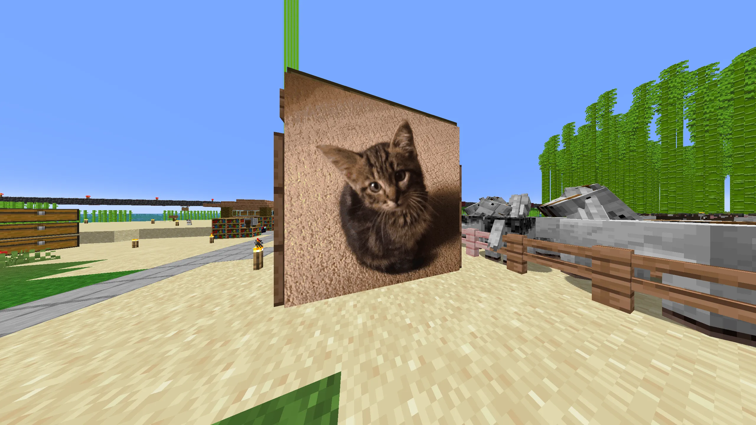 mc.dsns.dev